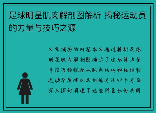 足球明星肌肉解剖图解析 揭秘运动员的力量与技巧之源